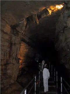 small_000628 rochesterIMG_4732.webp